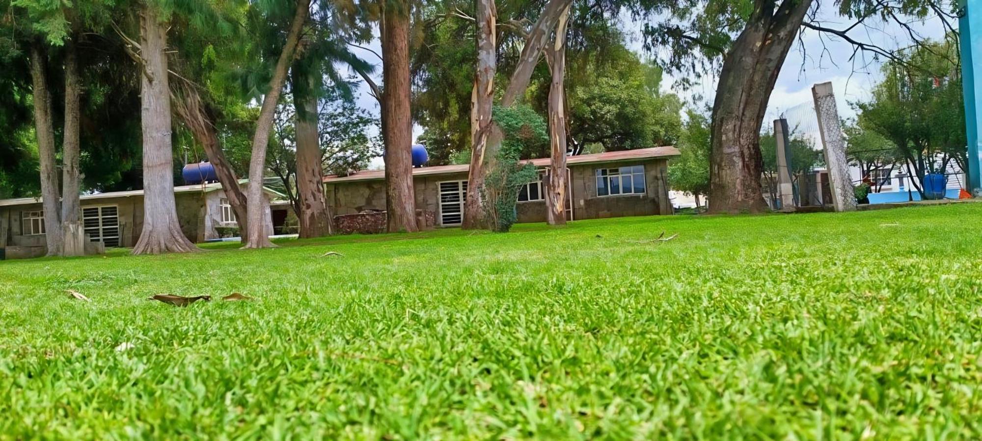 Apartment Hacienda Morales *