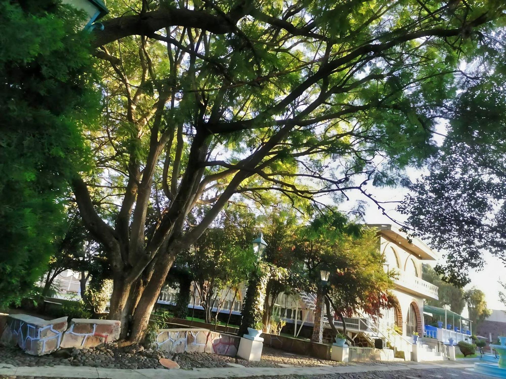 Hacienda Morales Apartment